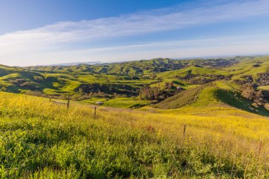 California sahil peyzaj
