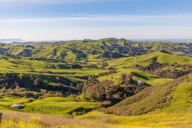 California sahil peyzaj