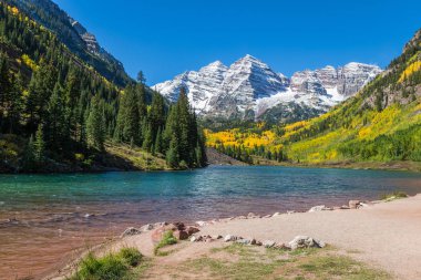 Kestane rengi çan sonbahar
