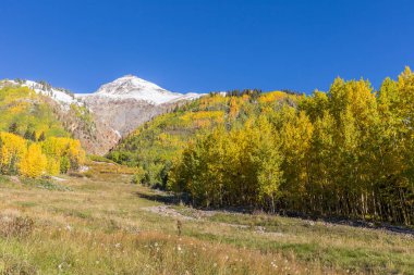 Doğal Colorado sonbahar manzara