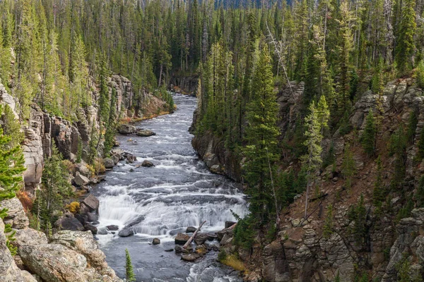 Lewis River Canyon — Stock fotografie