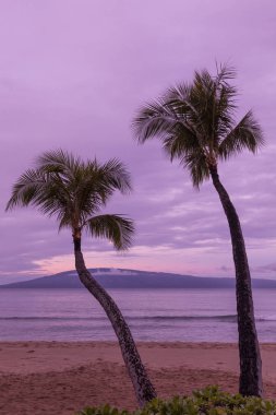 Maui Beach Sunrise