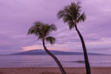Maui Beach Sunrise