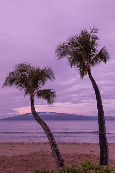 Sonnenaufgang an einem mauitischen Strand — Stockfoto