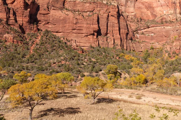 Autumn in Zion — Stock Photo, Image