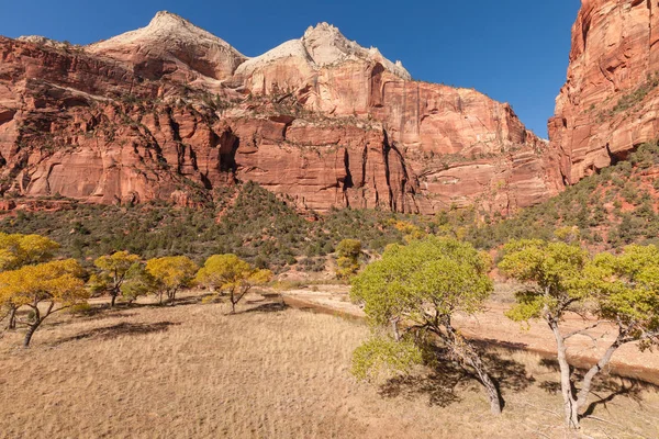 Autumn in Zion — Stock Photo, Image