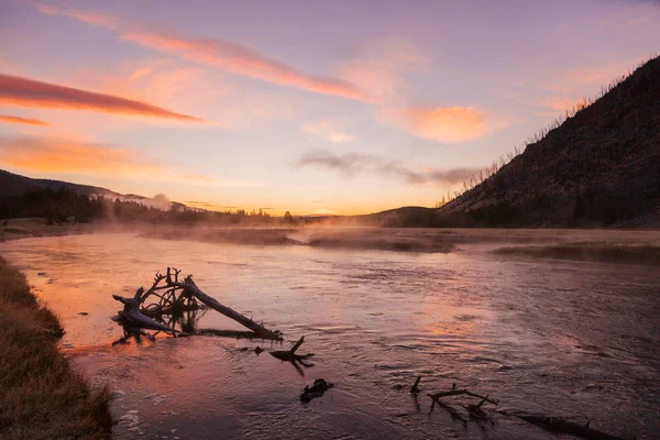 Madison River Sunrise — Stockfoto