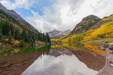 Kestane rengi çan sonbahar yansıma