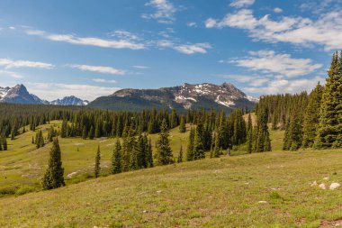 Yaz Colorado dağlarında