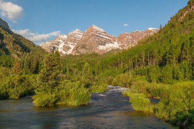 Yaz aylarında kestane çan