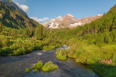 Yaz aylarında kestane çan