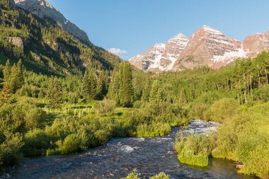 Yaz aylarında kestane çan