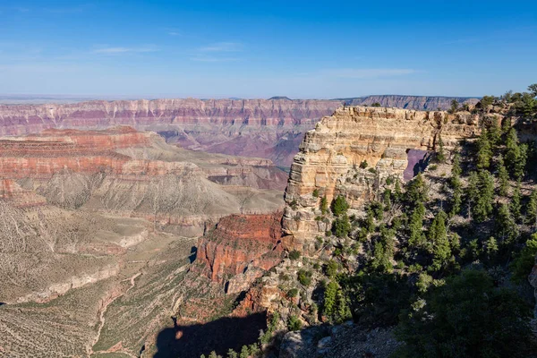 Grand Canyon North Rim Scenic — Stock Photo, Image