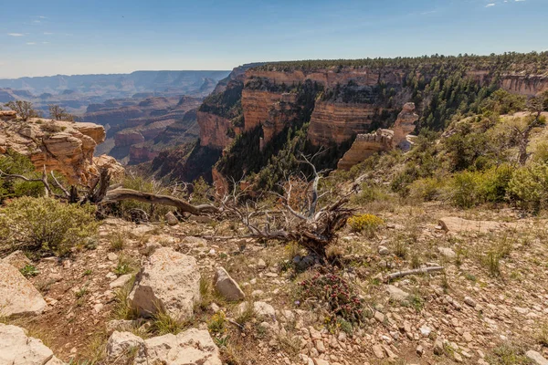 Robuste South Rim, Grand Canyon — Photo