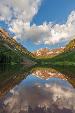 Kestane rengi çan yansıma