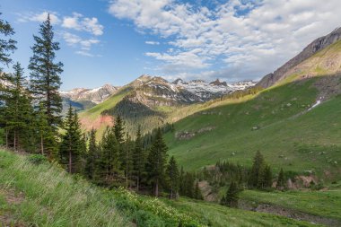 Yazın dağ manzarası
