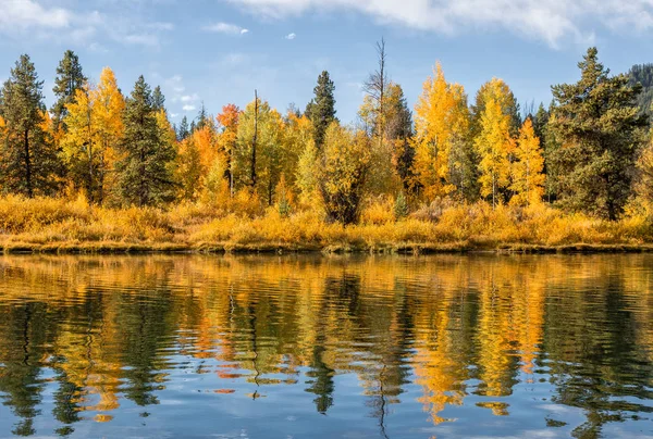 Reflexión escénica de otoño —  Fotos de Stock