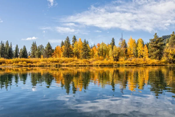 Reflexión escénica de otoño —  Fotos de Stock