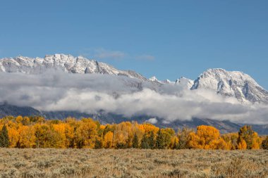 Tetons sonbahar manzara