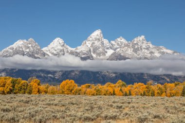 Tetons sonbahar manzara