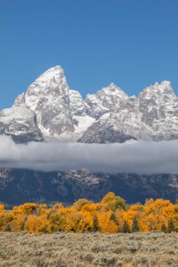 Tetons sonbahar manzara