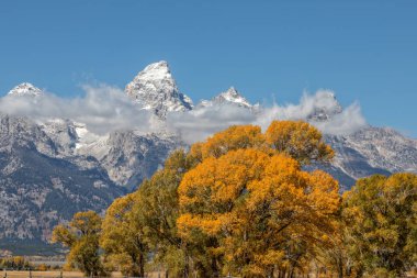Teton sonbahar manzara