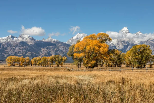 Teton Fall Landscape — Stock Photo, Image