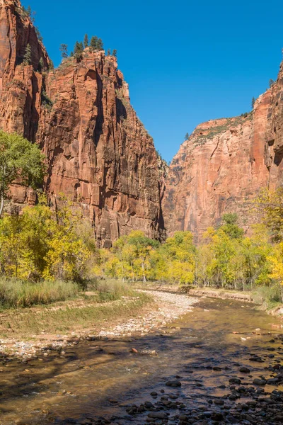 Autumn in the Zion Narrows — Stock Photo, Image