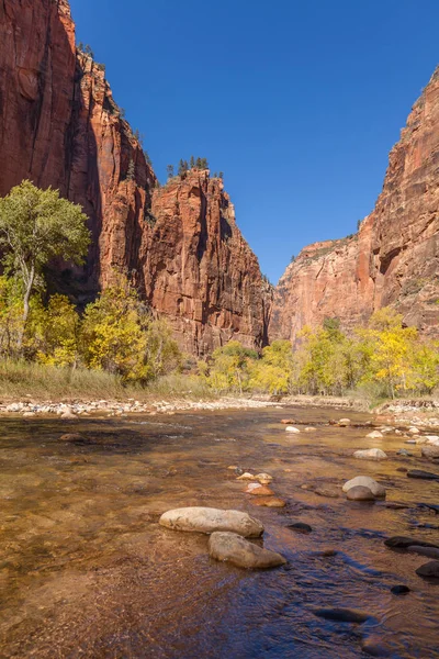 Autumn in the Zion Narrows — Stock Photo, Image