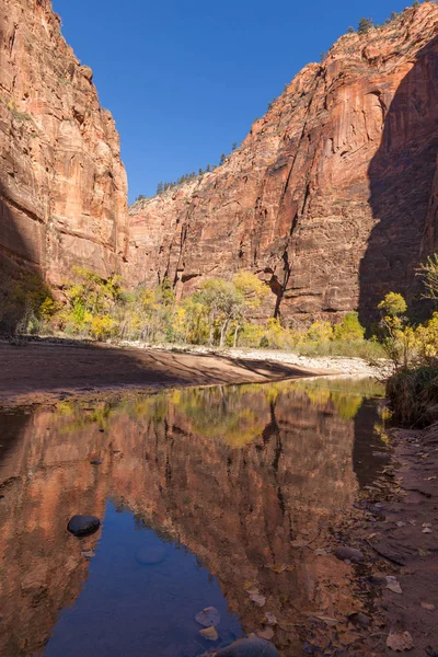 Autumn in the Zion Narrows — Stock Photo, Image