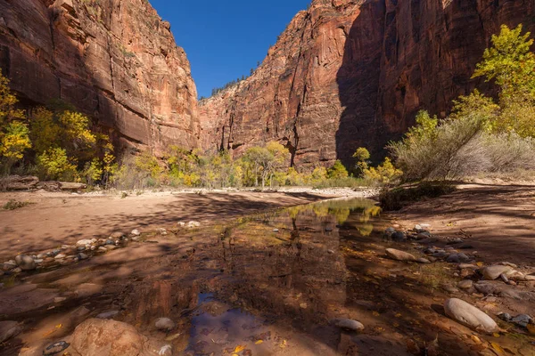 Autumn in the Zion Narrows — Stock Photo, Image