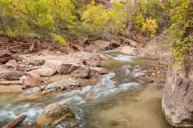 sonbahar virgin Nehri üzerinde