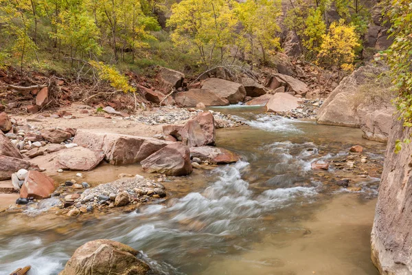 Autunno sul fiume vergine — Foto Stock