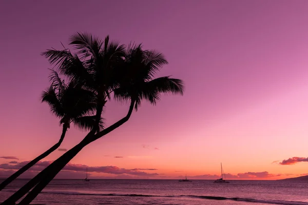 Tropikalna wyspa zachód słońca — Zdjęcie stockowe