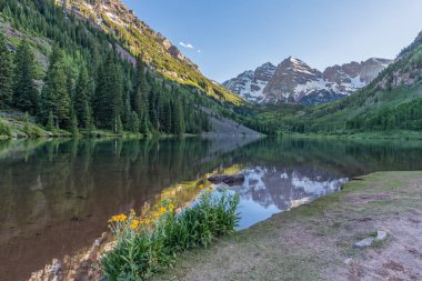Kestane rengi çan yaz yansıma