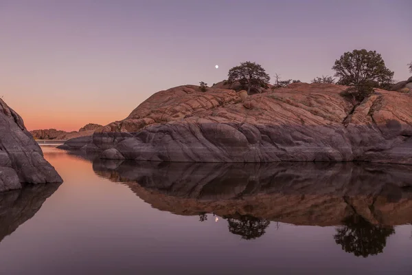 Salgueiro Lago Moonrise Reflexão — Fotografia de Stock