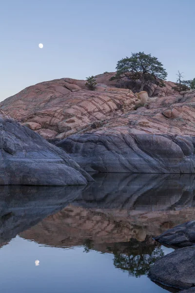 Wierzby Moonrise Jezioro Reflection — Zdjęcie stockowe