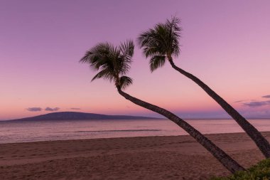 Maui Beach günbatımı