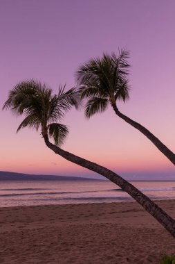 Maui Beach günbatımı