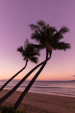 Maui Beach günbatımı