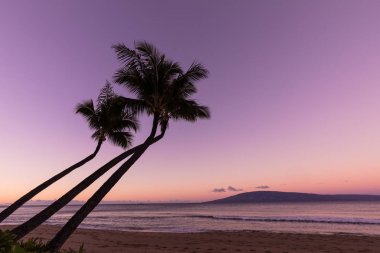 Maui Beach günbatımı