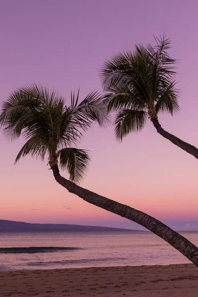 Maui Beach günbatımı