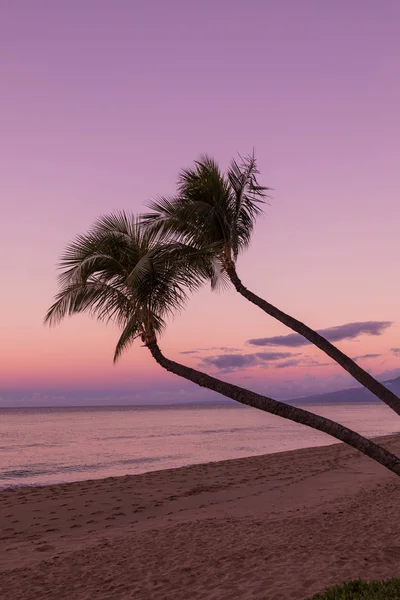 Coucher de soleil Maui Beach — Photo