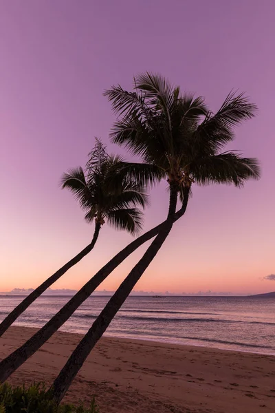 Maui Beach günbatımı