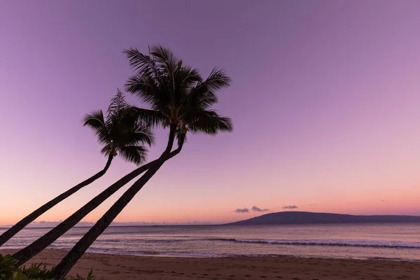 Maui Beach Tramonto — Foto Stock