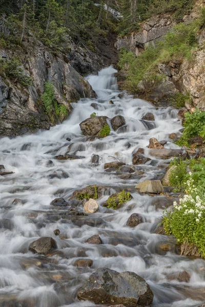 Scenic Mountain Stream en verano —  Fotos de Stock
