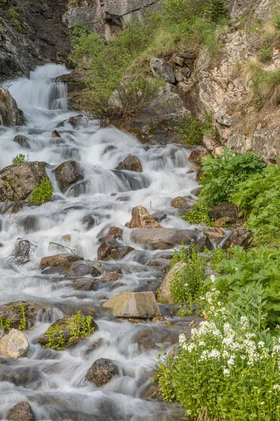 Ruisseau de montagne panoramique en été — Photo