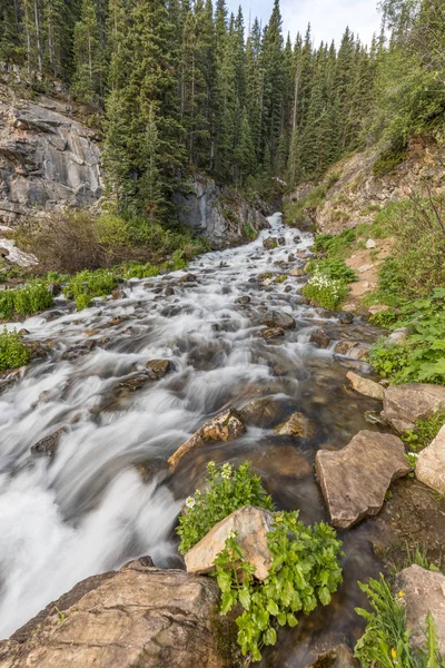 Scenic Mountain Stream in de zomer — Stockfoto