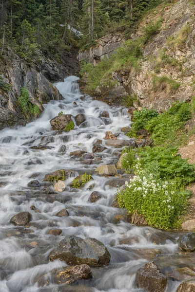 Doğal dağ dere yaz — Stok fotoğraf