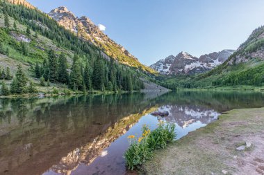 Kestane rengi çan yaz yansıma